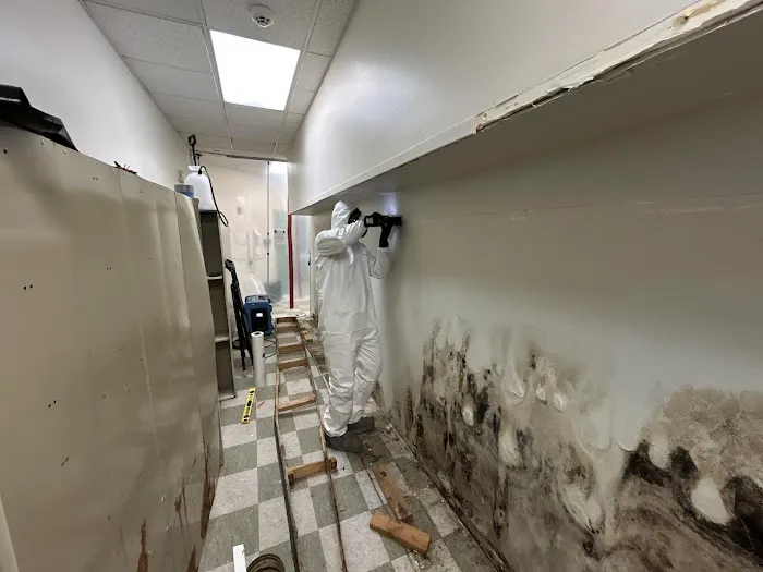 Utah Pros Restoration Picture 5