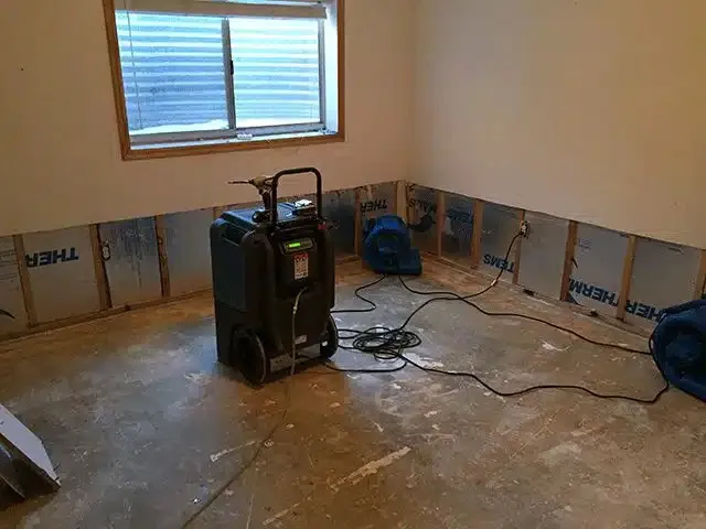 The Disaster Company Picture 5