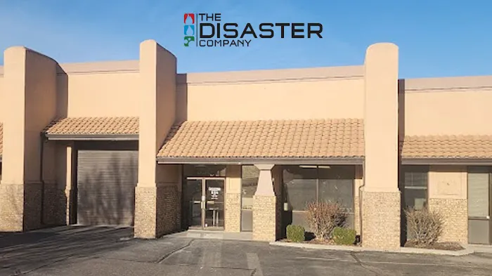 The Disaster Company Picture 7