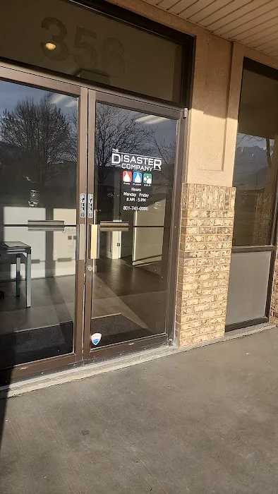 The Disaster Company Picture 6