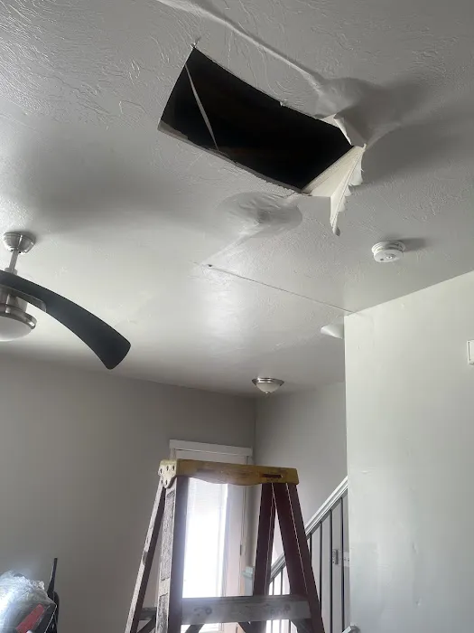 The Disaster Company Picture 3