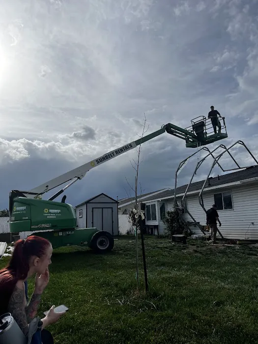 The Disaster Company Picture 4