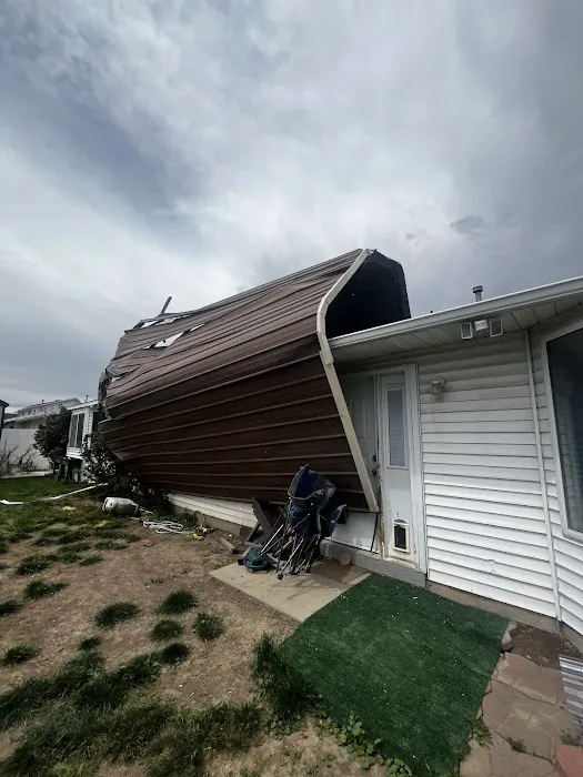 The Disaster Company Picture 2