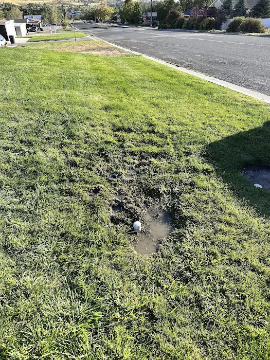 Daytona Restoration | Fire, Meth, Mold, Asbestos, Biohazard Cleanup Picture 8