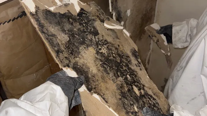 Daytona Restoration | Fire, Meth, Mold, Asbestos, Biohazard Cleanup Picture 9
