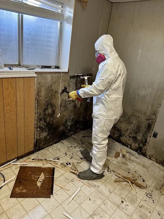 Rocky Mountain Cleaning Co Picture 1