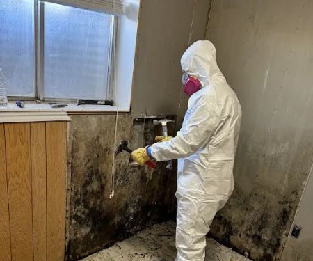 Rocky Mountain Cleaning Co