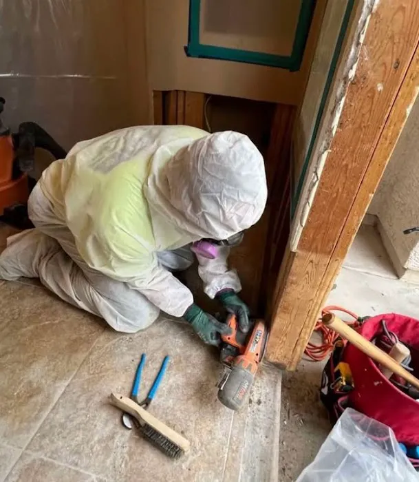 Vault Mold Removal Picture 1