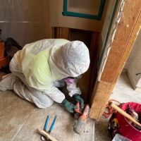 Vault Mold Removal ico