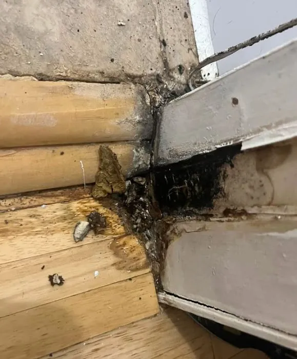 Vault Mold Removal Picture 3