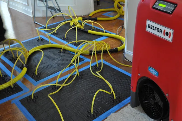 BELFOR Property Restoration (Salt Lake City) Picture 5