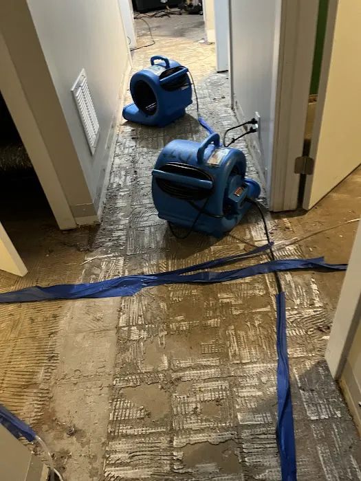 Alpine Cleaning Specialists Picture 10