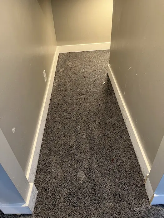 Alpine Cleaning Specialists Picture 1