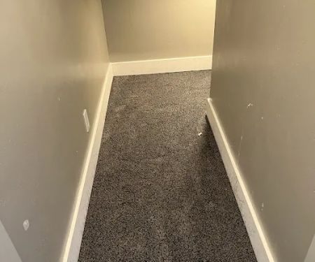 Alpine Cleaning Specialists