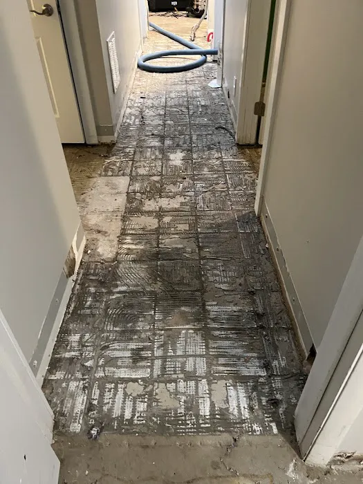 Alpine Cleaning Specialists Picture 9