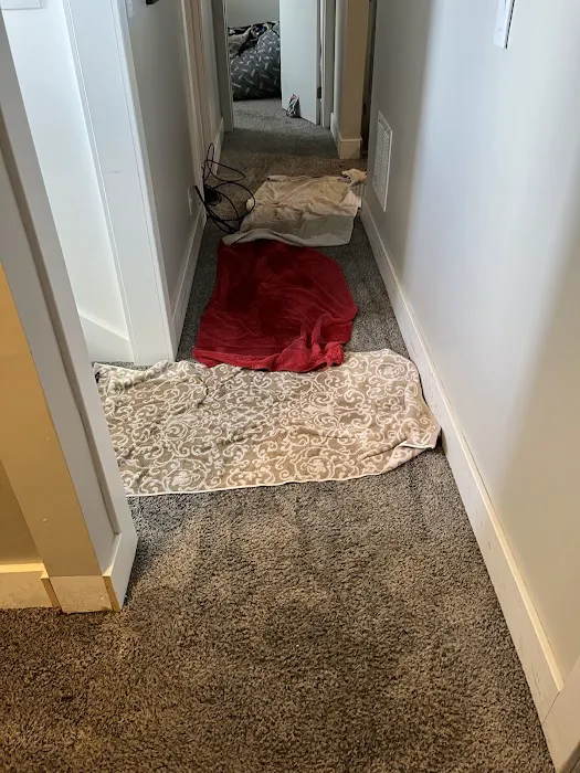 Alpine Cleaning Specialists Picture 6