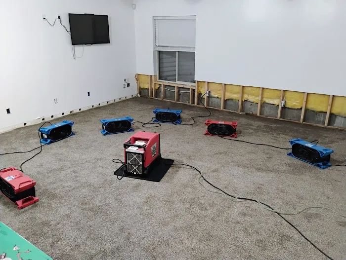 Quality Restoration Picture 6