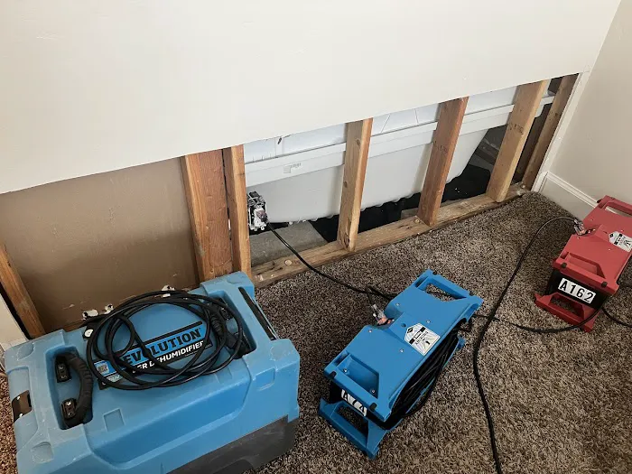 Quality Restoration Picture 7