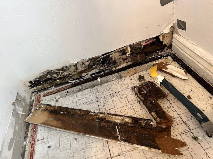 Prime Restoration Picture 6