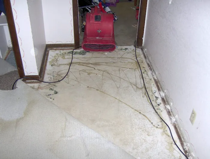 Jeffers Fire and Flood Restoration Picture 3