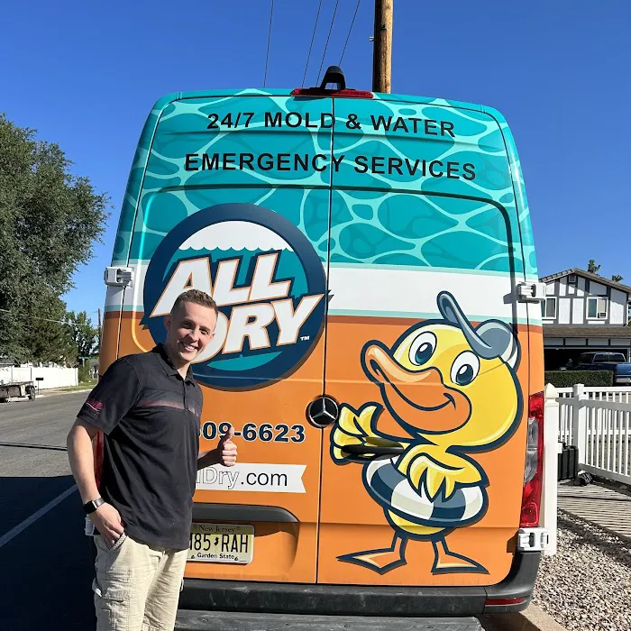 All Dry Services Picture 10