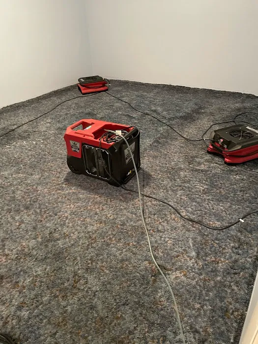 All Dry Services Picture 4