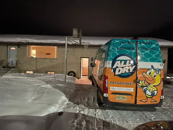 All Dry Services Picture 5