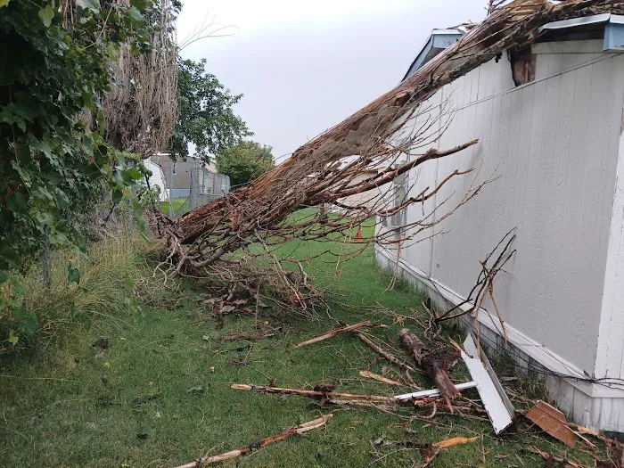 Paul Davis Restoration of Utah - Centerville Office Picture 8