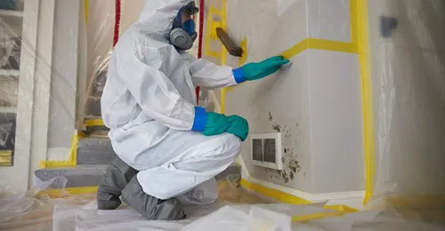 ServiceMaster by Smith franchise 5005 Picture 7