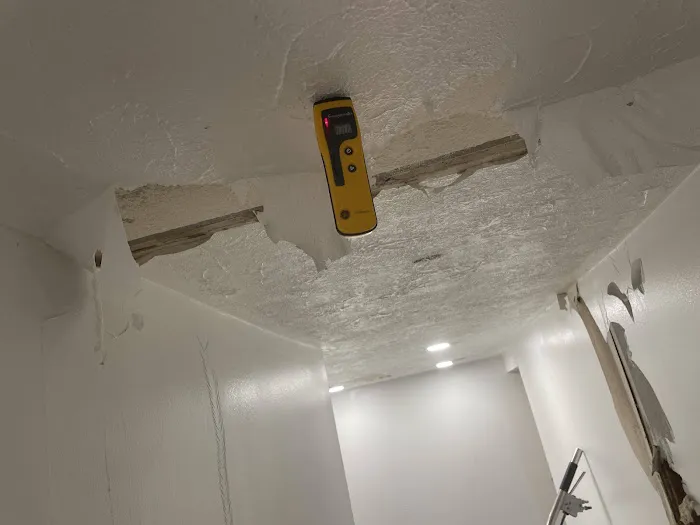 The Flood Co. Picture 8