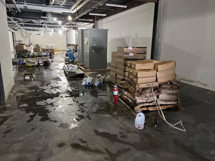 The Flood Co. Picture 4