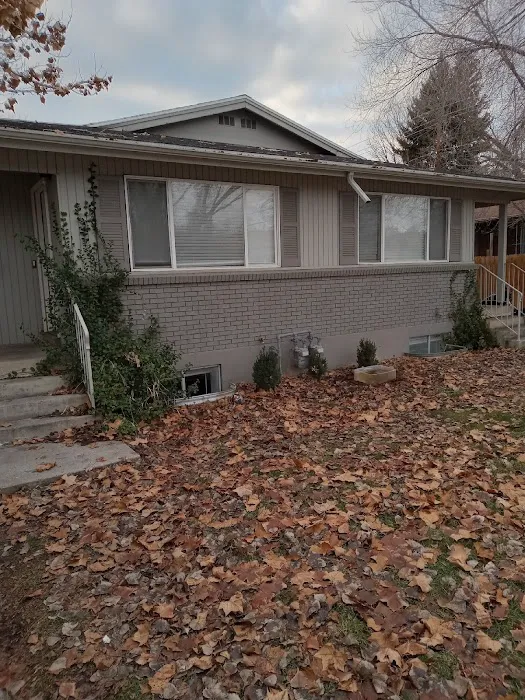 The Flood Co. Picture 1