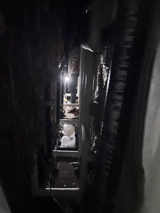 The Flood Co. Picture 2