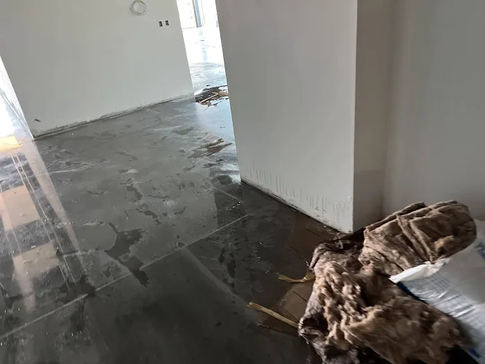 The Flood Co. Picture 7