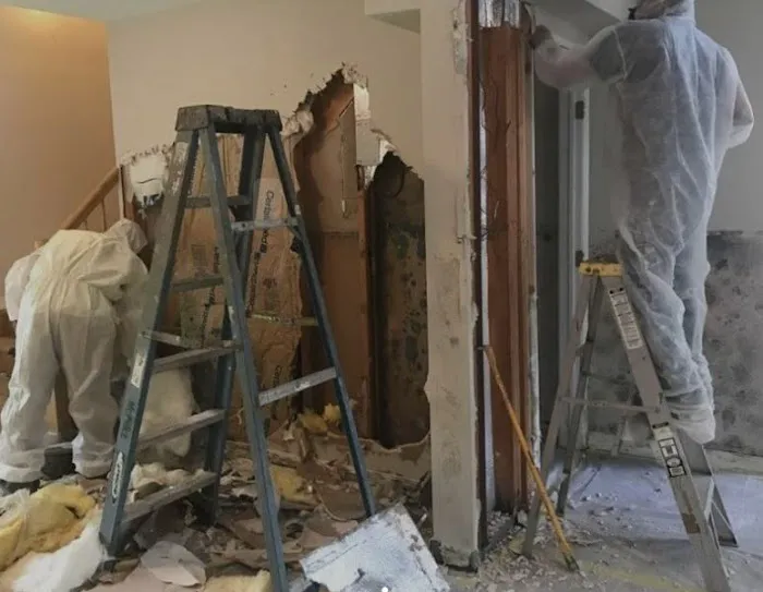 4Sure Mold Removal Picture 3