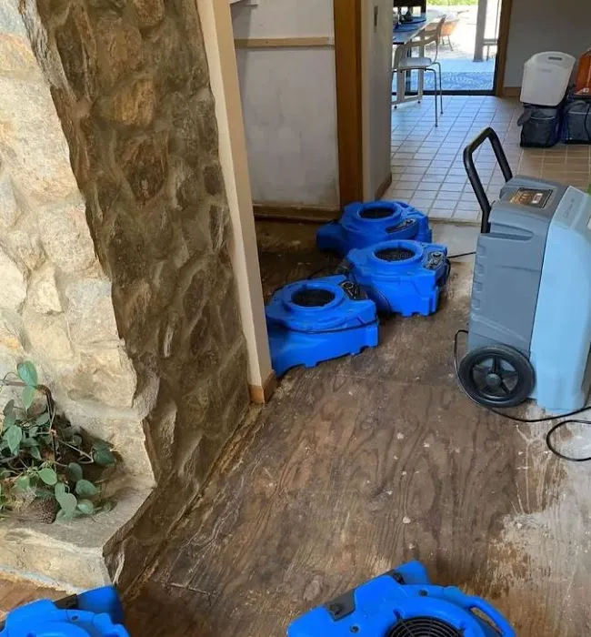 4Sure Mold Removal Picture 1