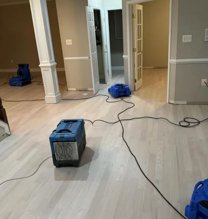 4Sure Mold Removal Picture 2