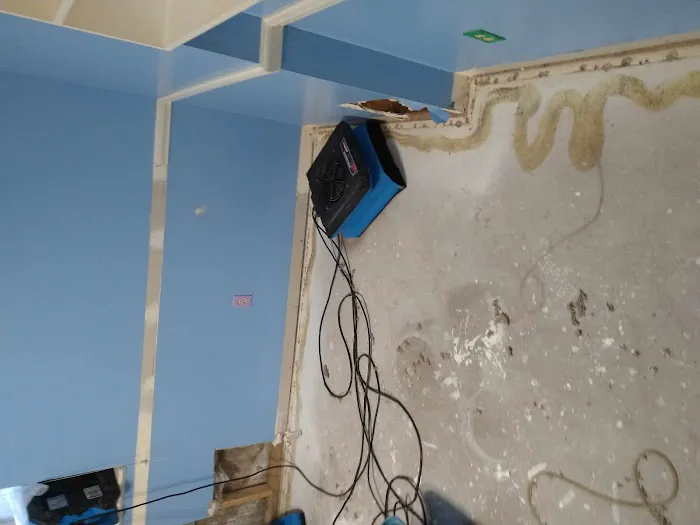 Pure Cleaning and Restoration Specialists Picture 10