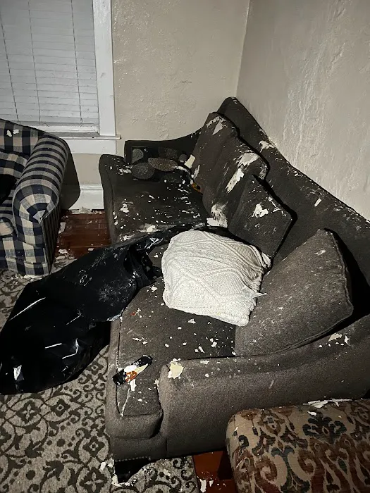 Pure Cleaning and Restoration Specialists Picture 3