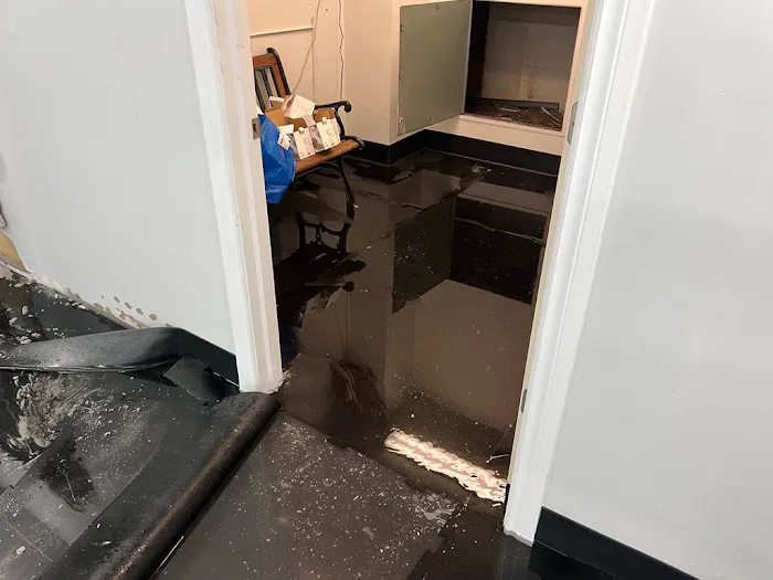 Pure Cleaning and Restoration Specialists Picture 5