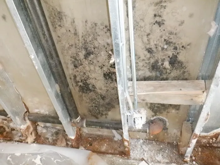 Floodsmen Disaster Cleanup Picture 3