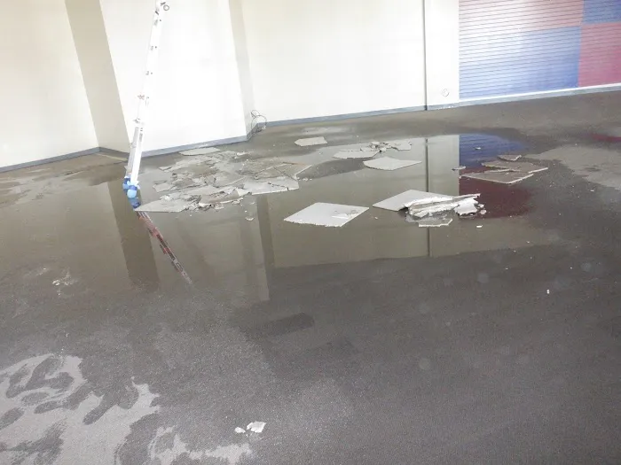 Floodsmen Disaster Cleanup Picture 10