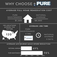 Pure Maintenance Corporate Office ico