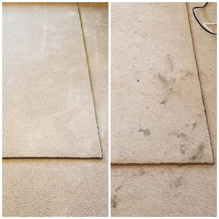 Kelly’s Carpet Cleaning Picture 3