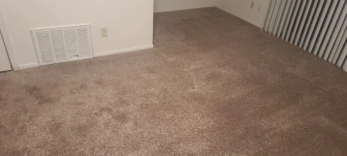 Kelly’s Carpet Cleaning Picture 6