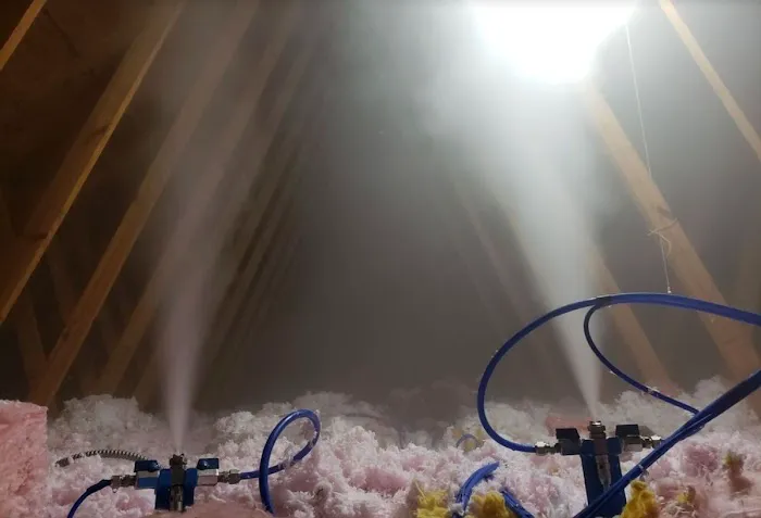 Mold Busters Ogden Picture 2