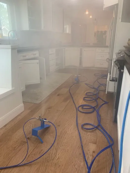 Mold Busters Ogden Picture 8