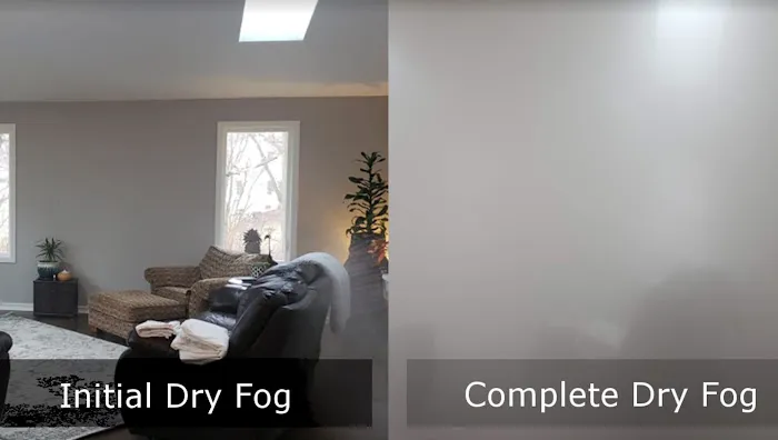 Mold Busters Ogden Picture 6