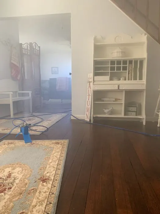 Mold Busters Ogden Picture 7