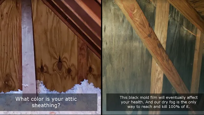 Mold Busters Ogden Picture 4